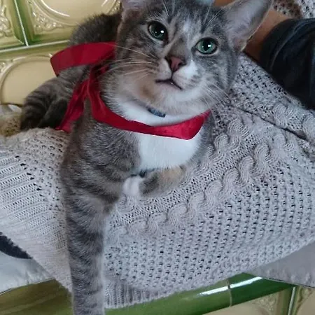 شقة L'oustal Du Sentier *